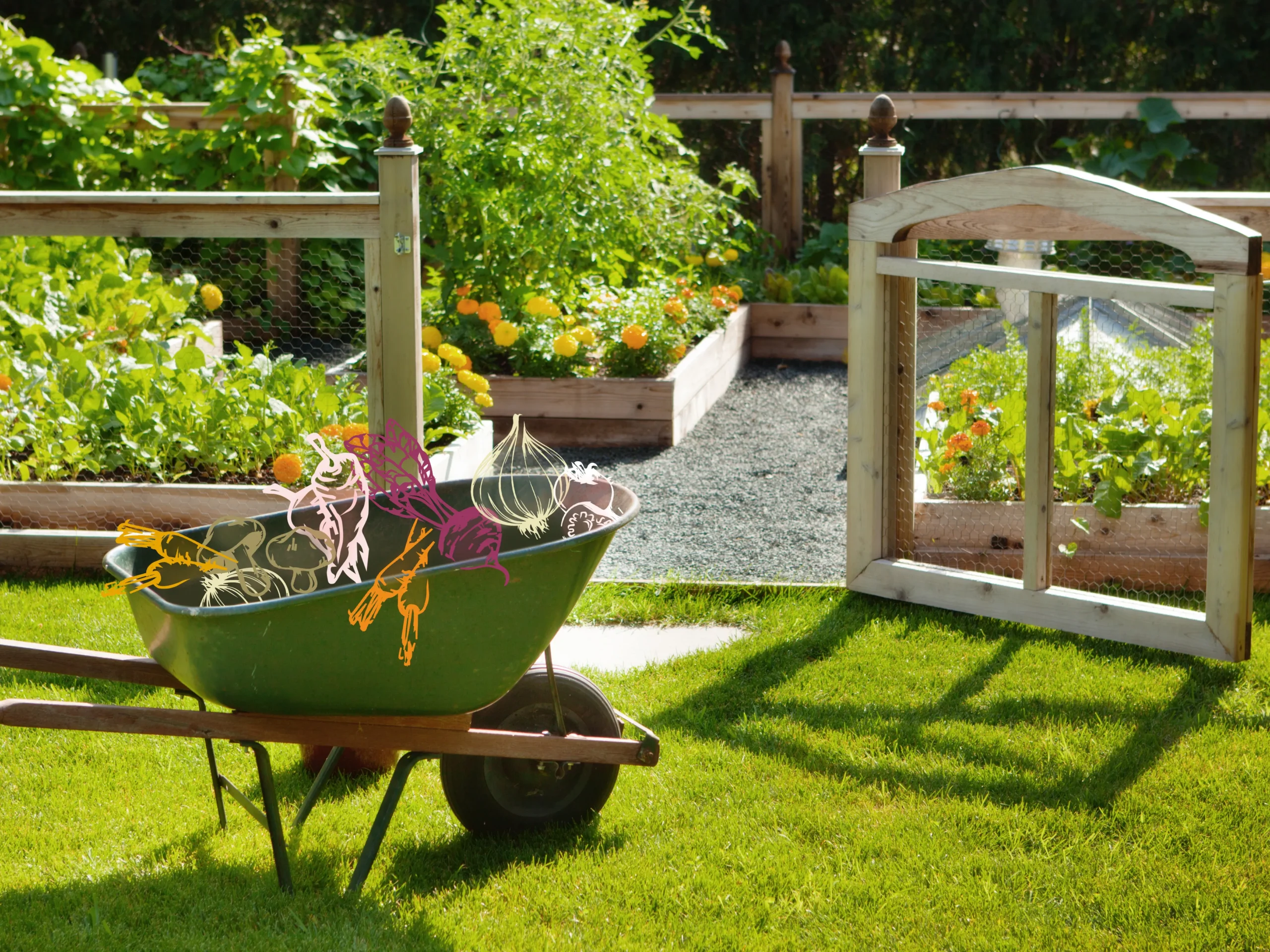 Backyard Vegetable Garden Ideas