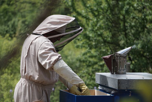 bee keeping
