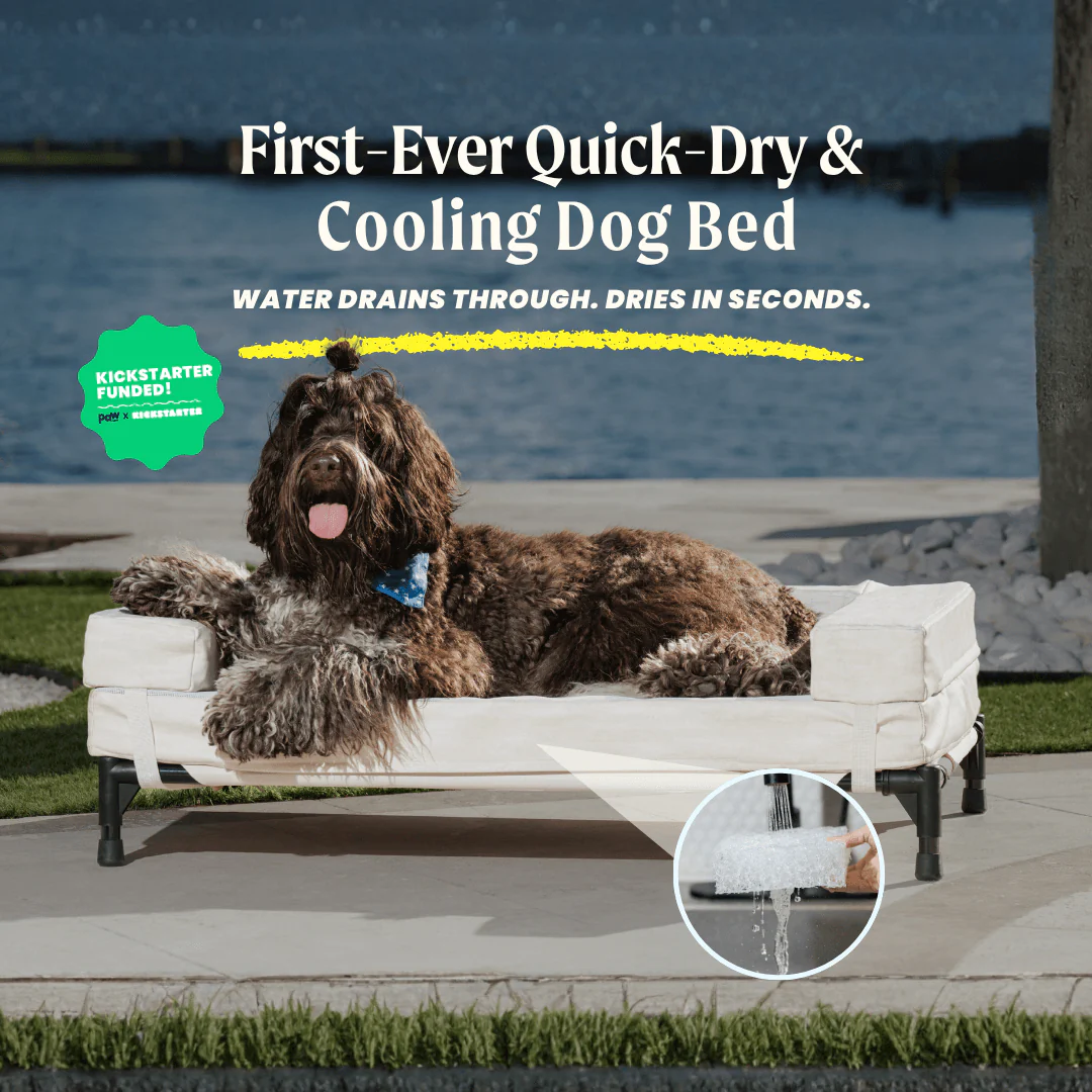 Best outdoor dog bed for large dogs featuring cooling foam and quick-dry technology