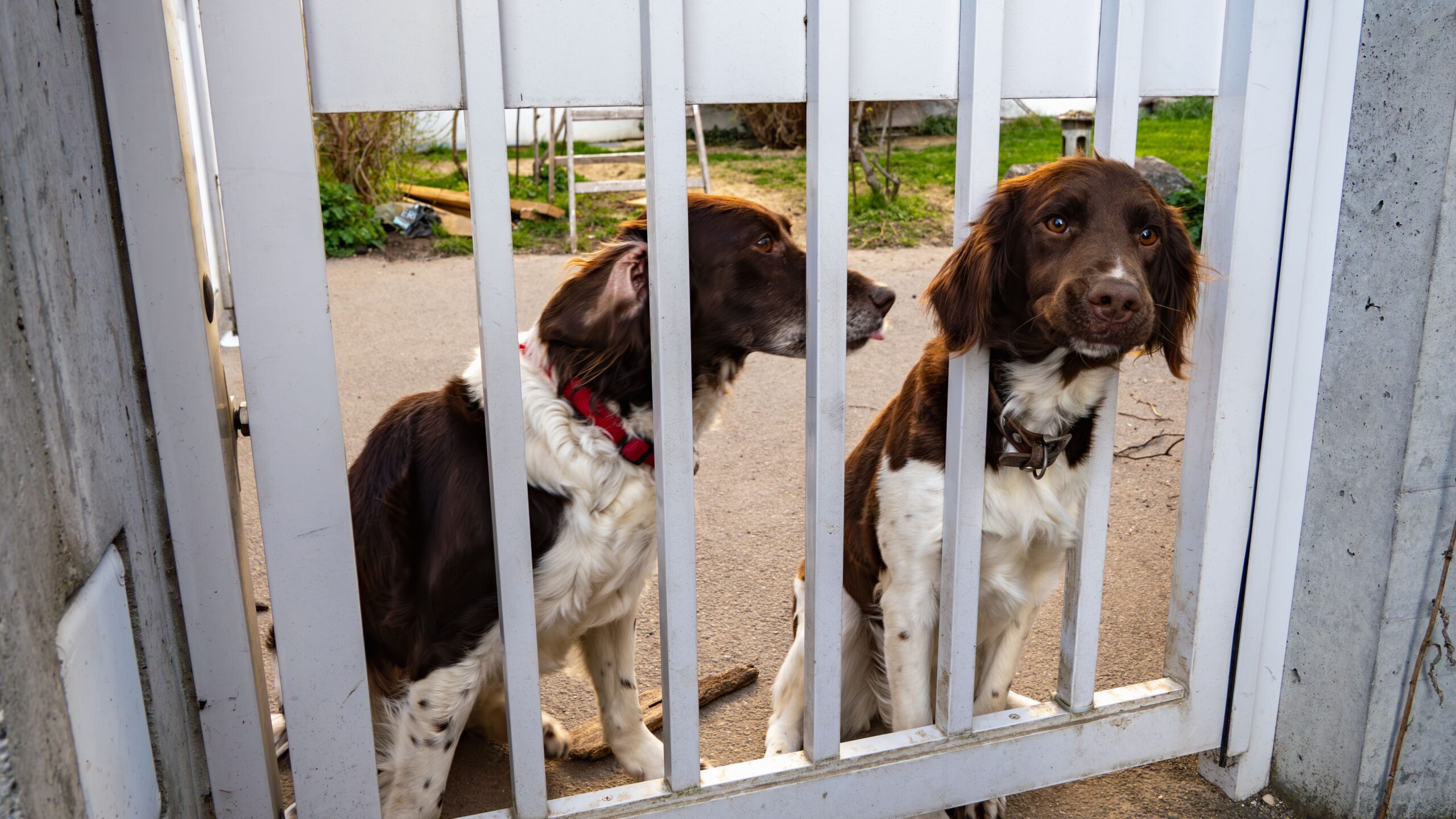 wireless tracker and fence